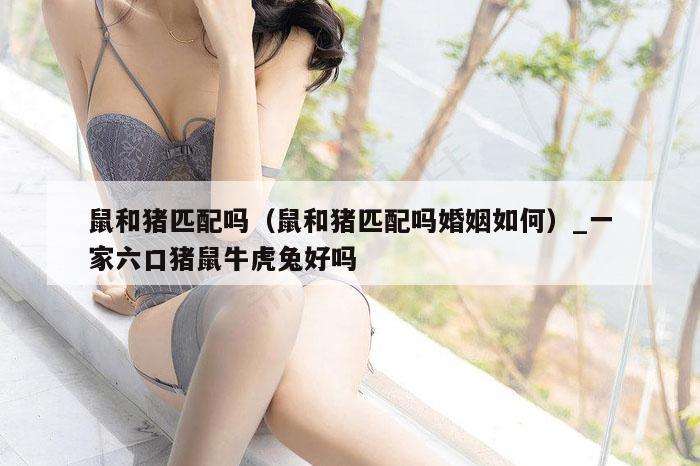 鼠和猪匹配吗(鼠和猪匹配吗婚姻如何)_一家六口猪鼠牛虎兔好吗